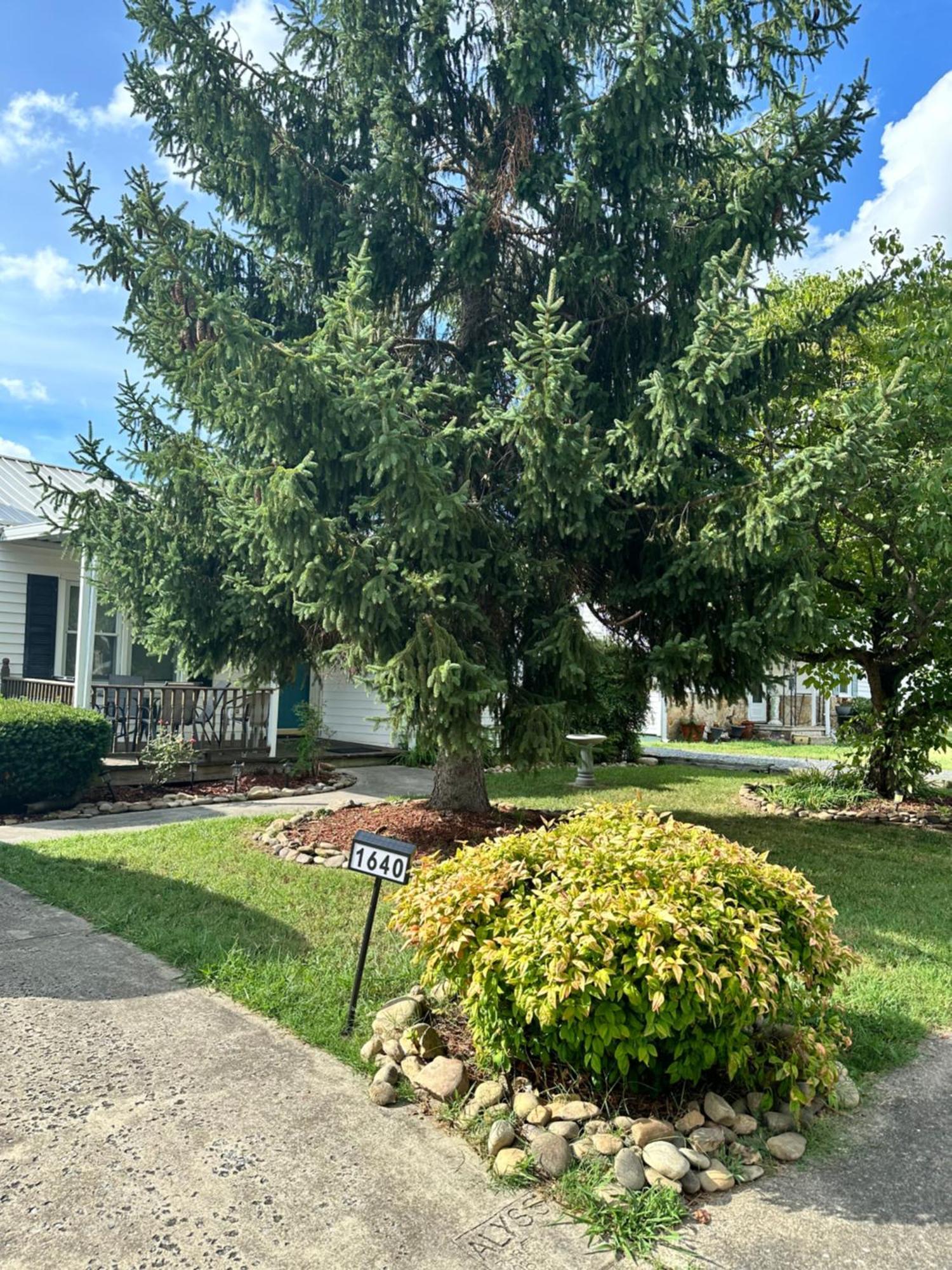 Home Away From Home Kingsport Exterior foto